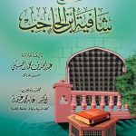 شرح شافية ابن الحاجب