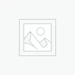 عنصر نائب Placeholder